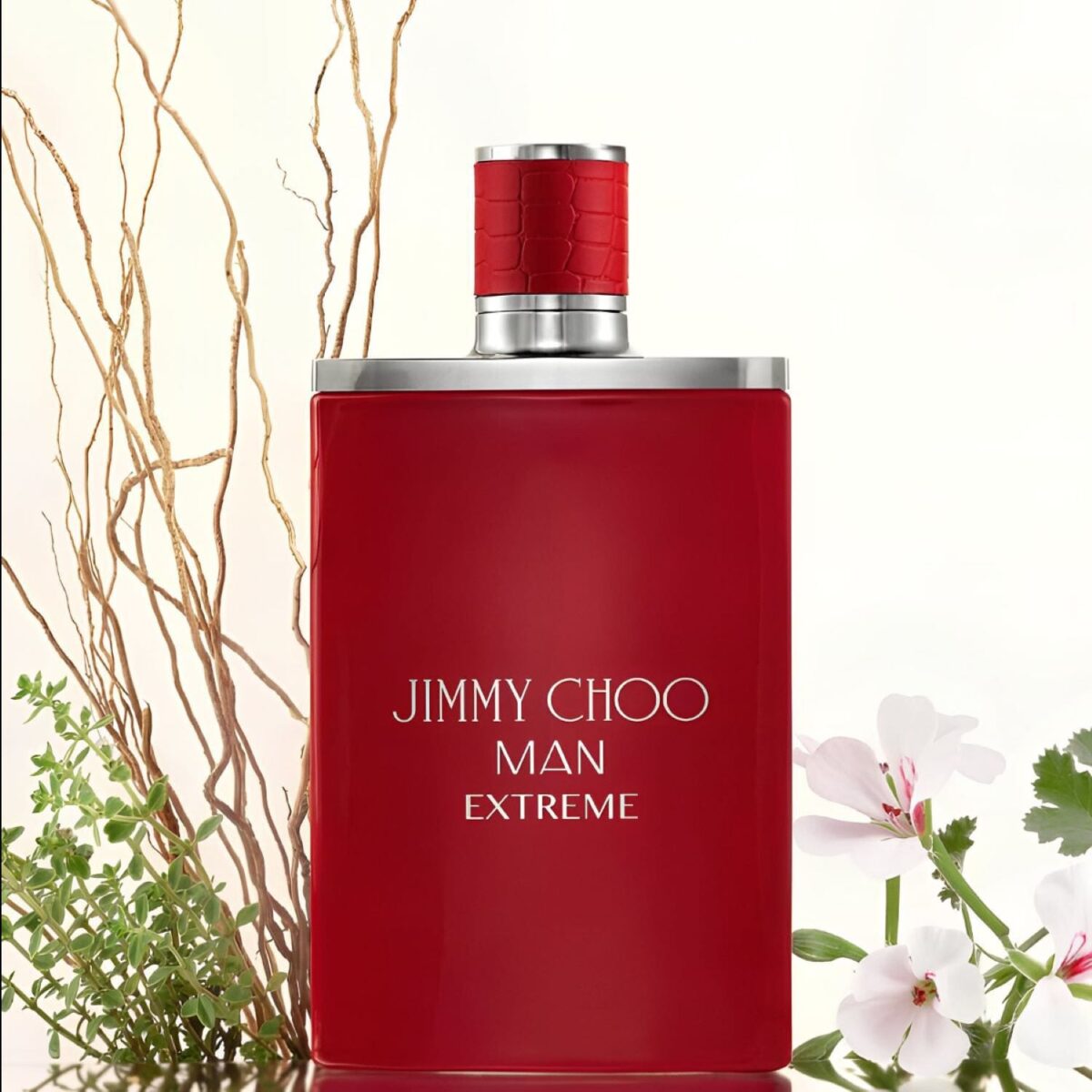 JIMMY CHOO MAN EXTREME – Image 2