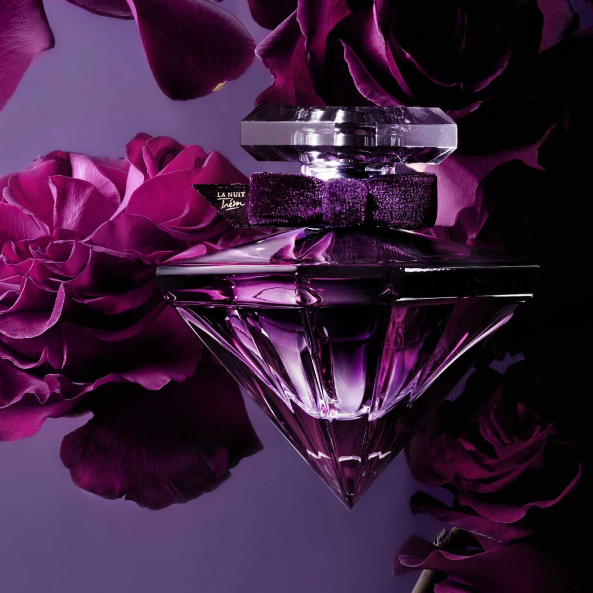 LA NUIT TRESOR – Image 4