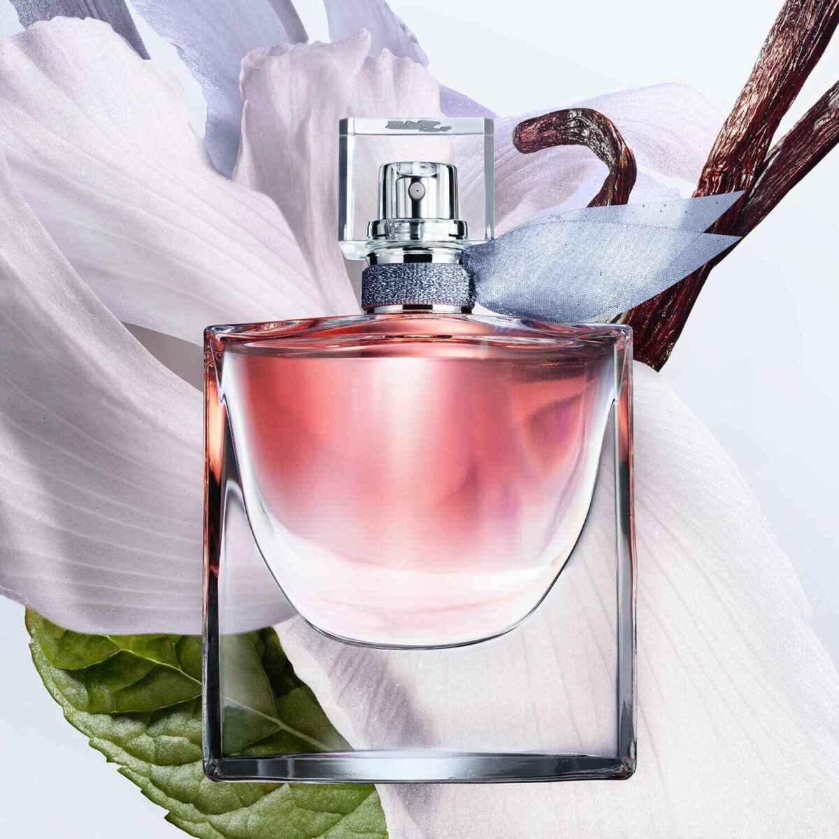 LA VIE EST BELLE – Image 2