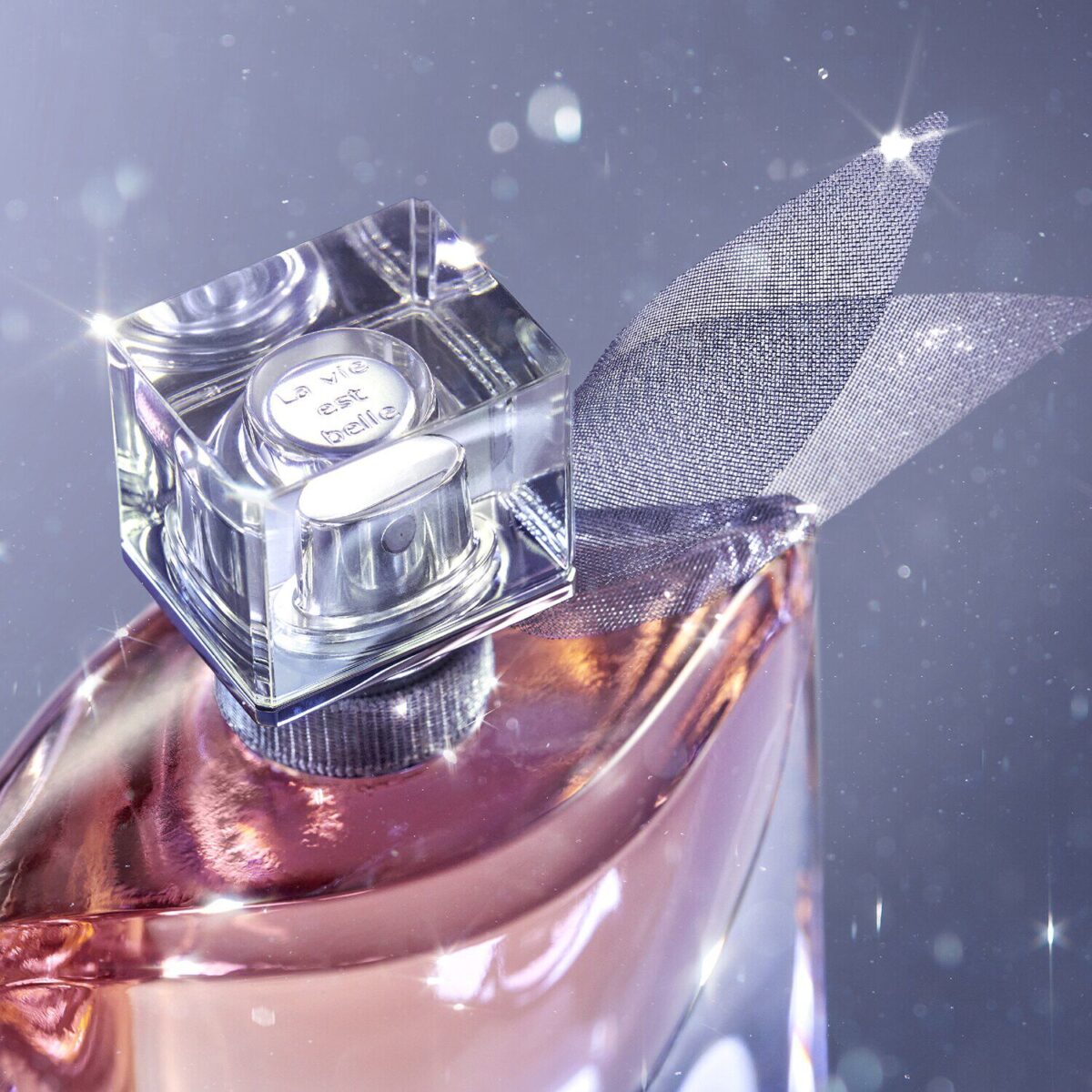 LA VIE EST BELLE – Image 5
