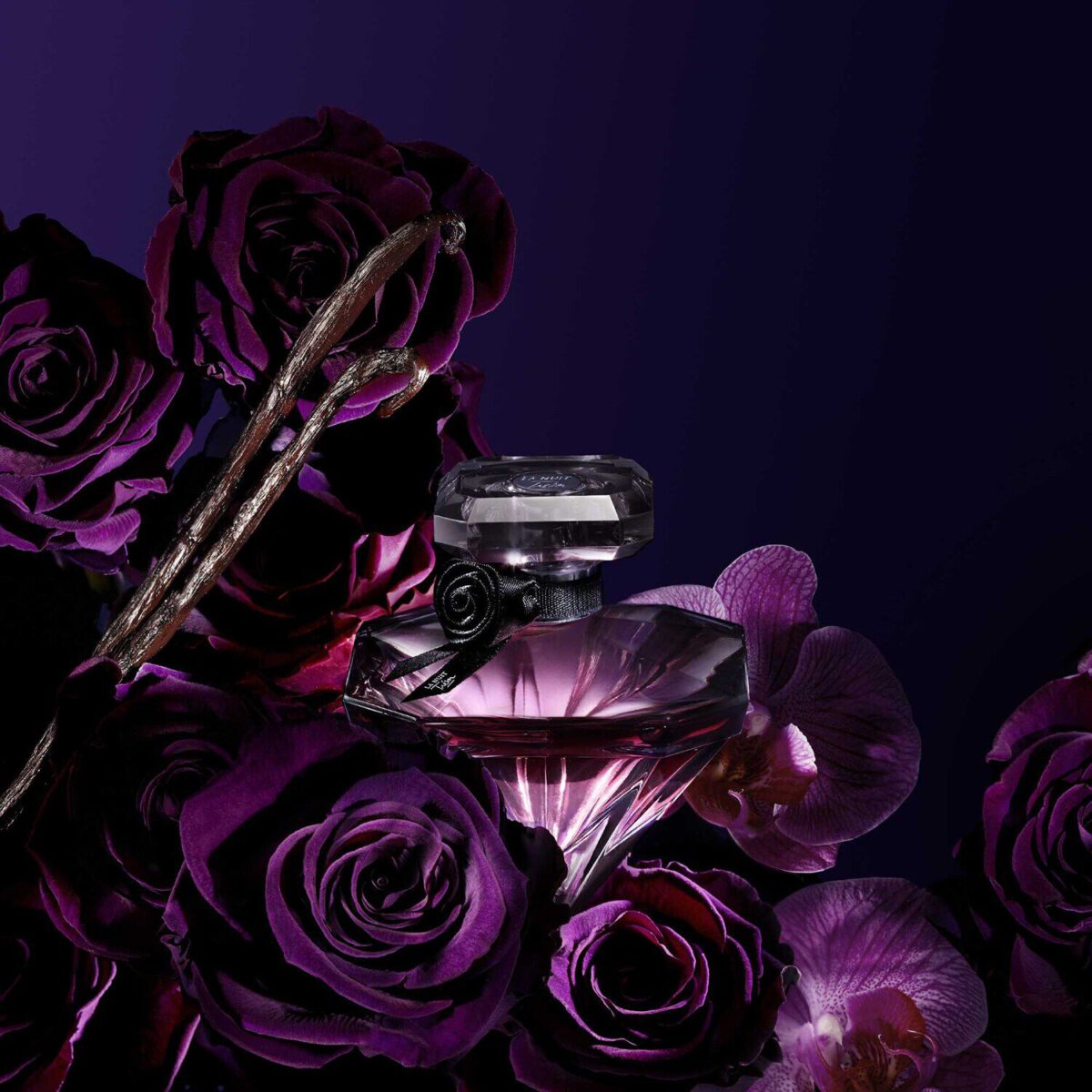 LA NUIT TRESOR – Image 5