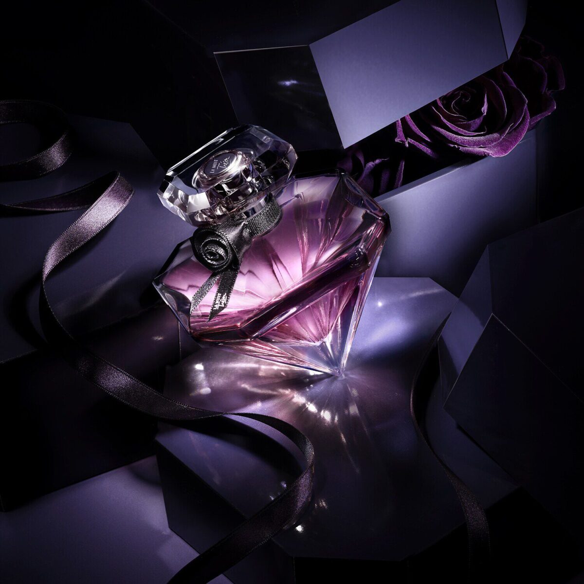 LA NUIT TRESOR – Image 3