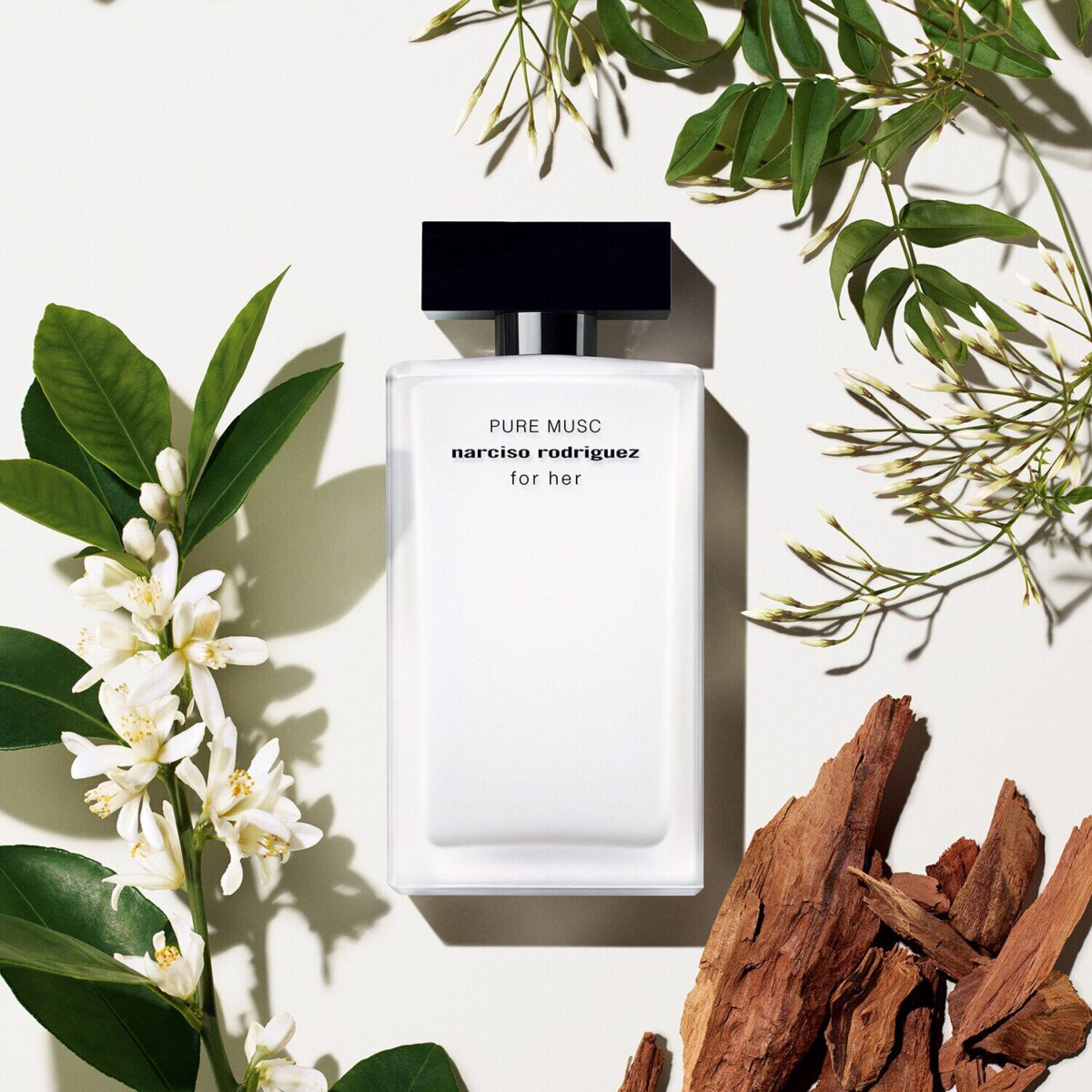 PURE MUSC – Image 2
