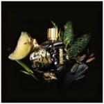 SPIRIT OF THE BRAVE – Image 3
