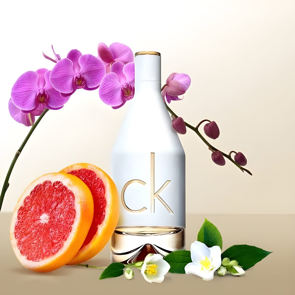 CK IN2U FOR HER – Image 2