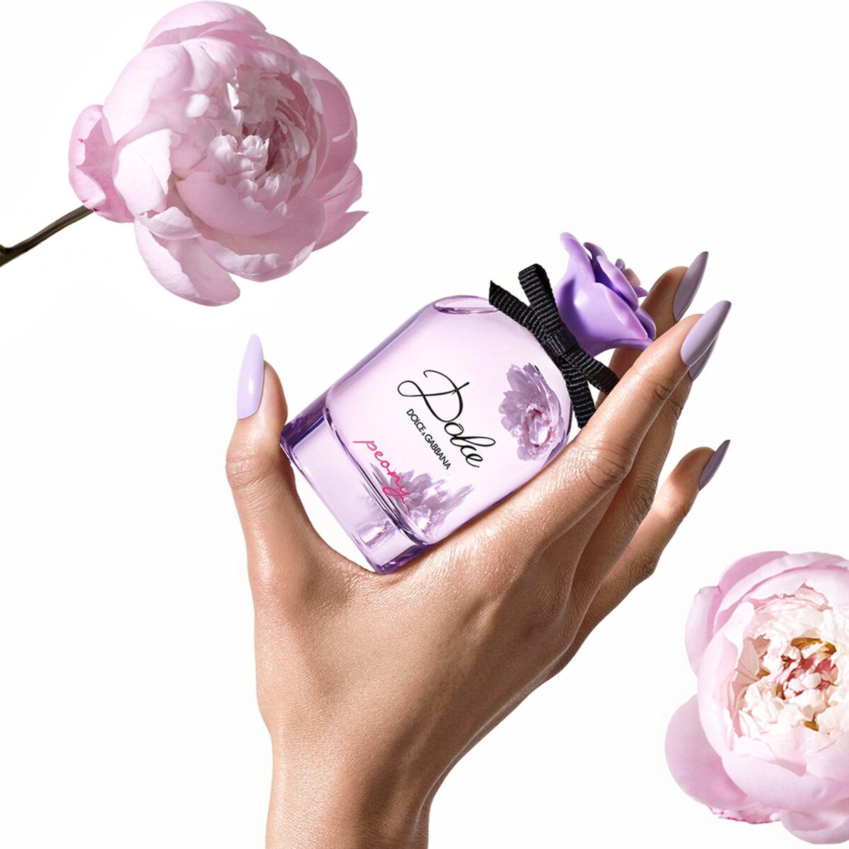 DOLCE PEONY – Image 2