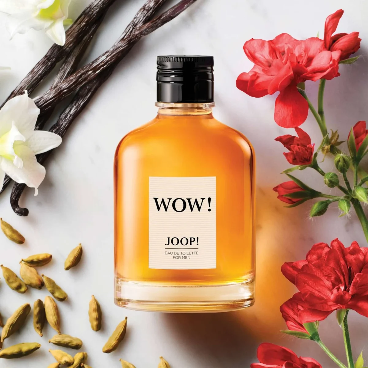 WOW – Image 2