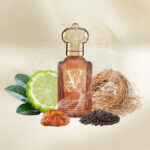 V AMBRE FOUGERE – Image 3