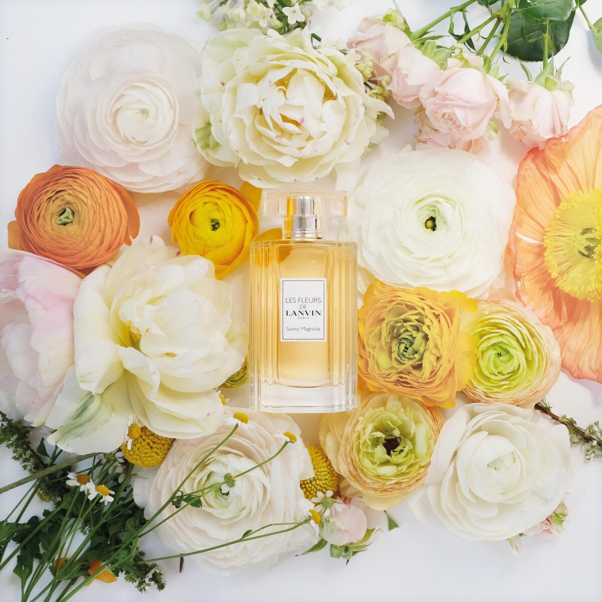 LES FLEURE DE SUNNY MAGNOLIA – Image 6