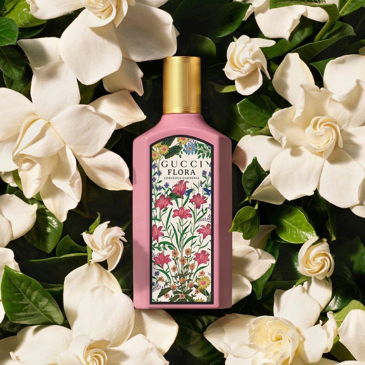 FLORA GORGEOUS GARDENIA – Image 4