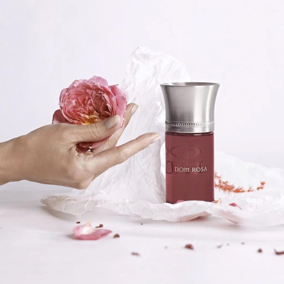 DOM ROSA – Image 4