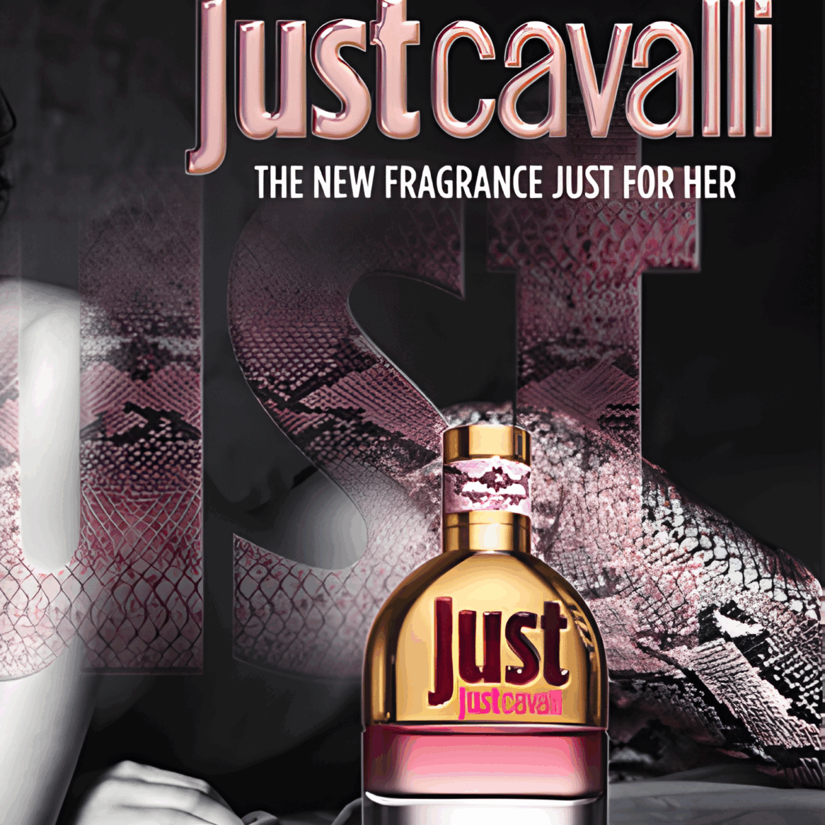 JUST CAVALLI – Image 3
