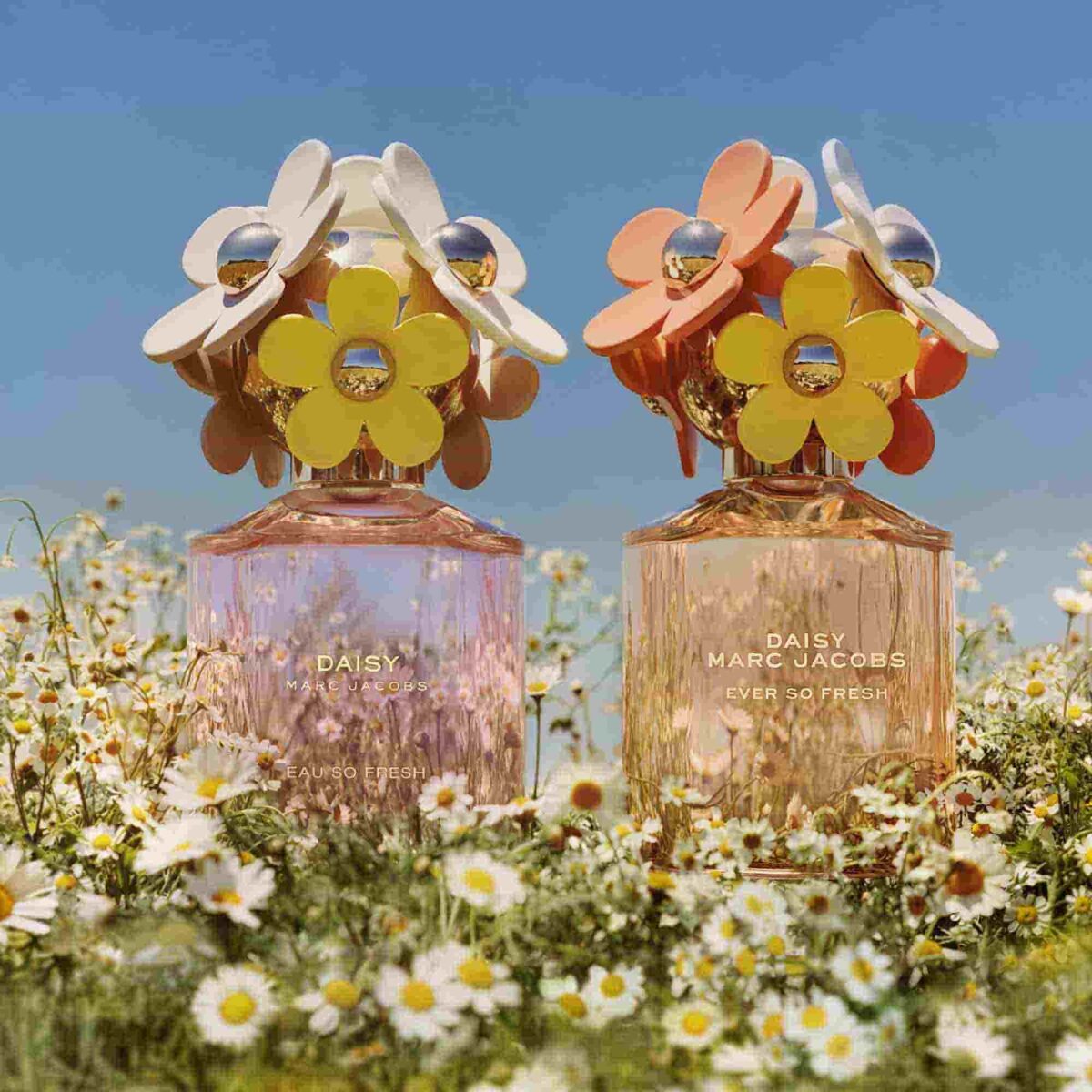 DAISY EAU SO FRESH – Image 6