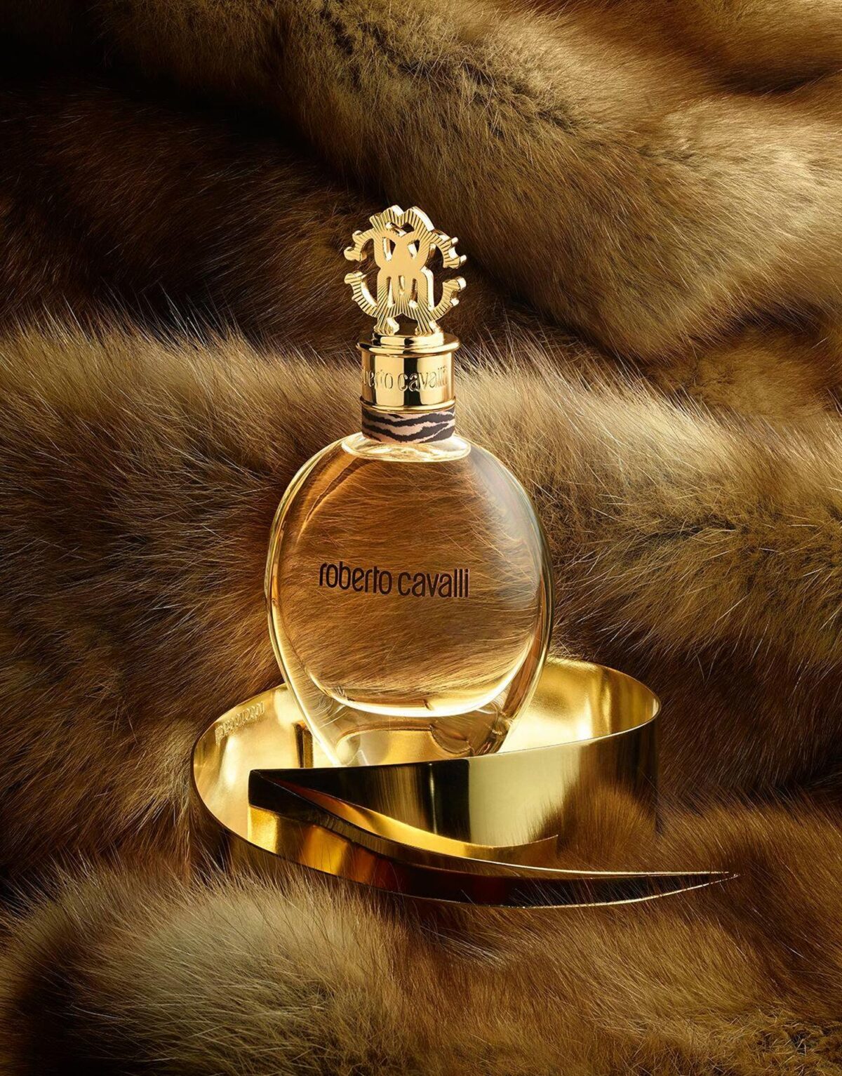 ROBERTO CAVALLI – Image 3