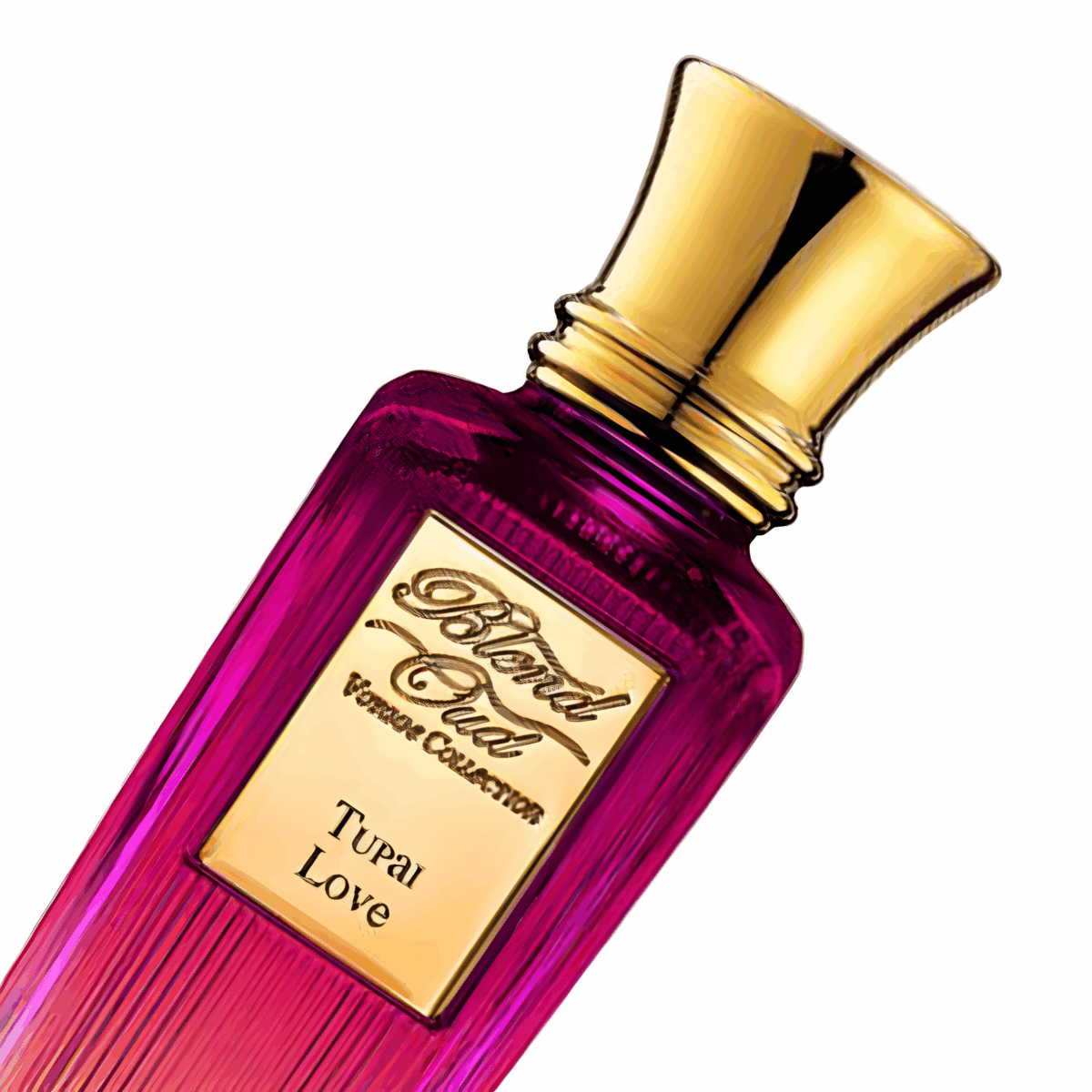 TUPAI LOVE – Image 3
