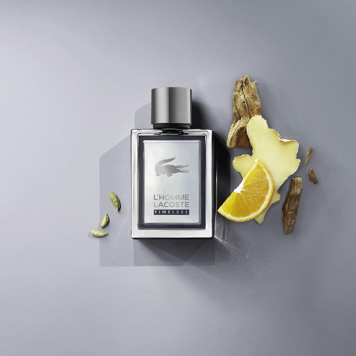 L'HOMME TIMLESS – Image 4