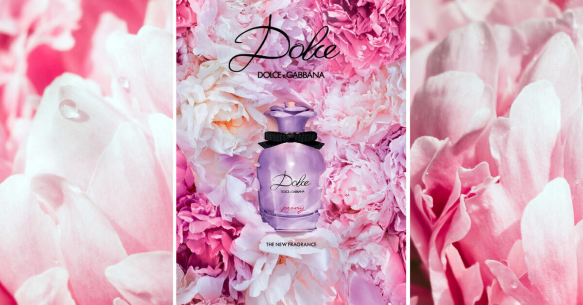 DOLCE PEONY – Image 3