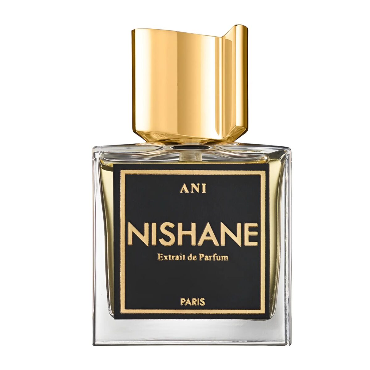 ANI – Image 1