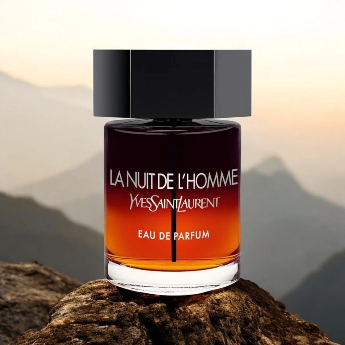 LA NUIT DE L'HOMME – Image 2
