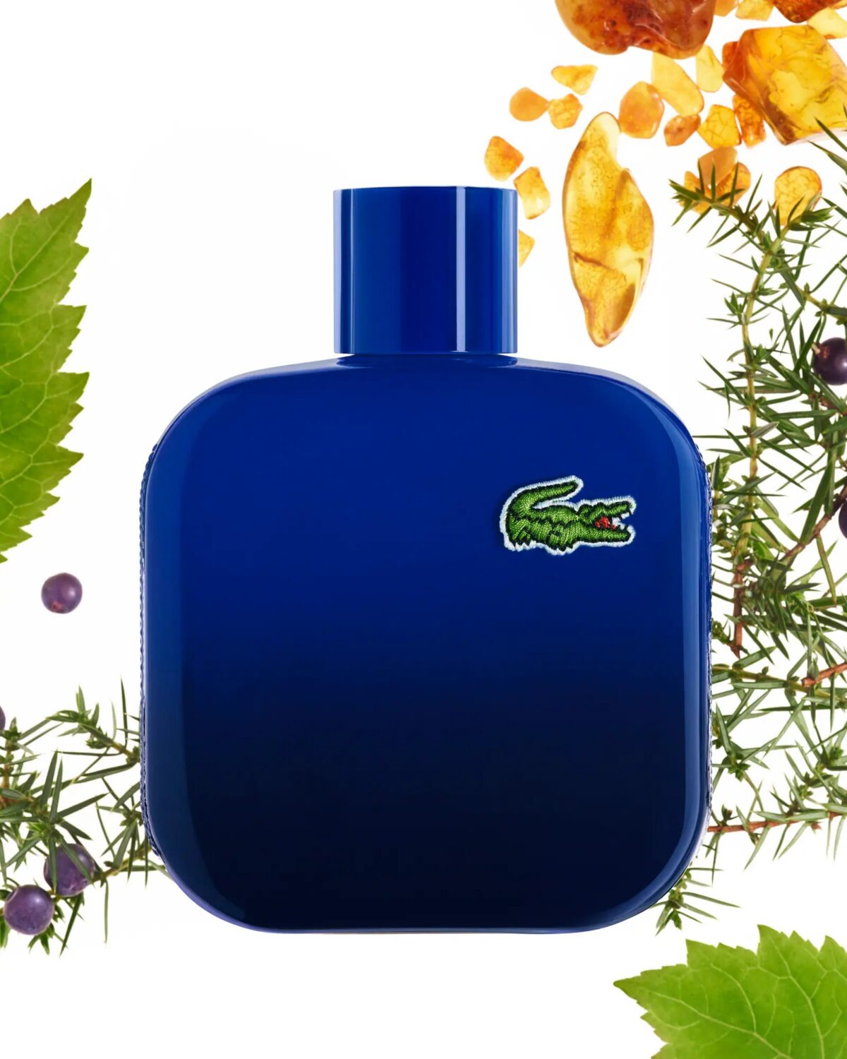 EAU DE LACOSTE MAGNETIC POUR LUI – Image 2