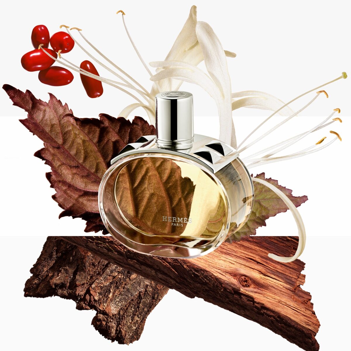 BARENIA – Image 3