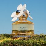 DAISY – Image 4