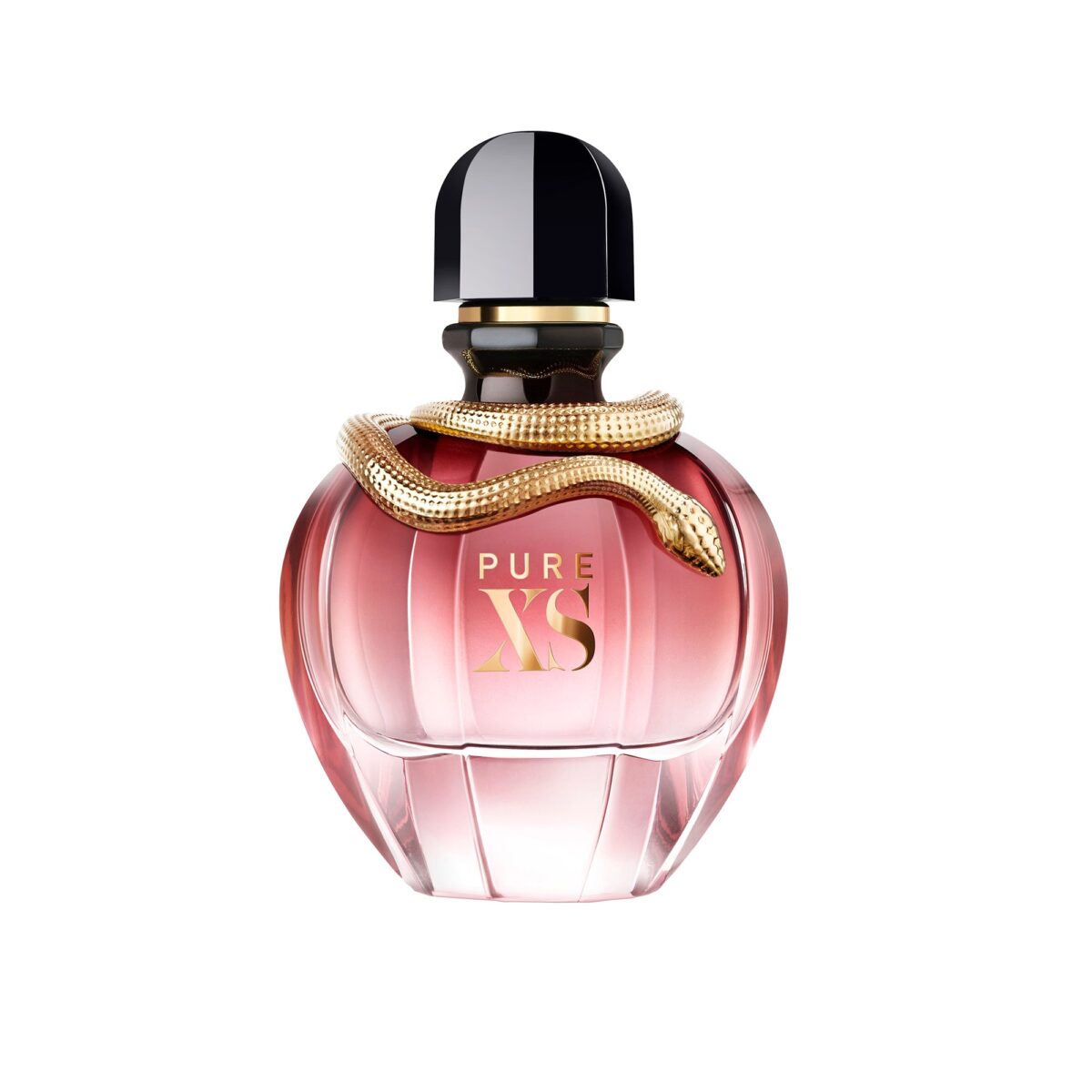 PURE XS – Image 1