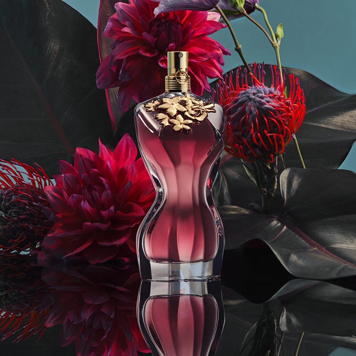 LA BELLE – Image 5