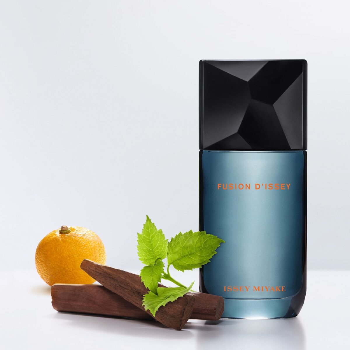 FUSION DISSEY – Image 3