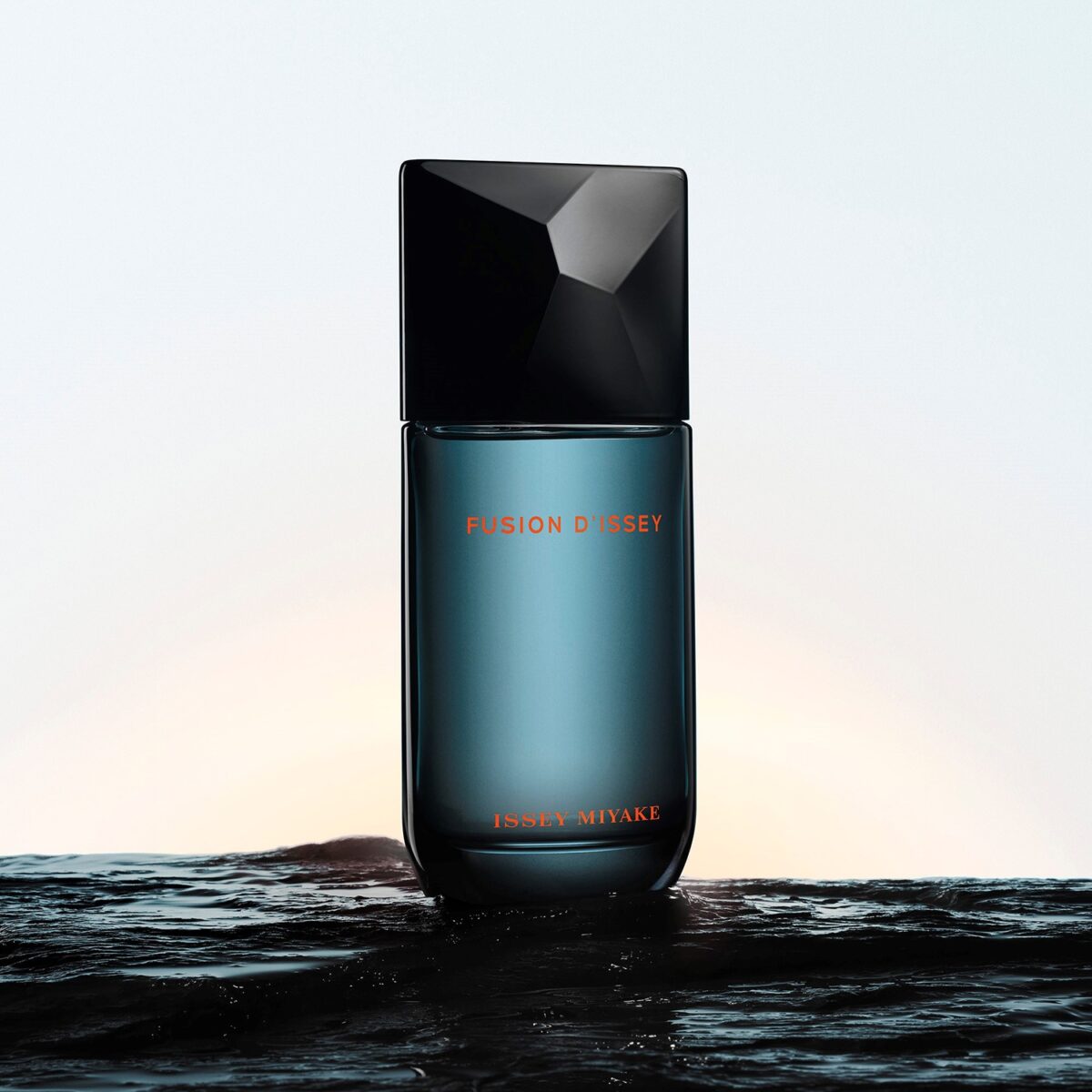 FUSION DISSEY – Image 4