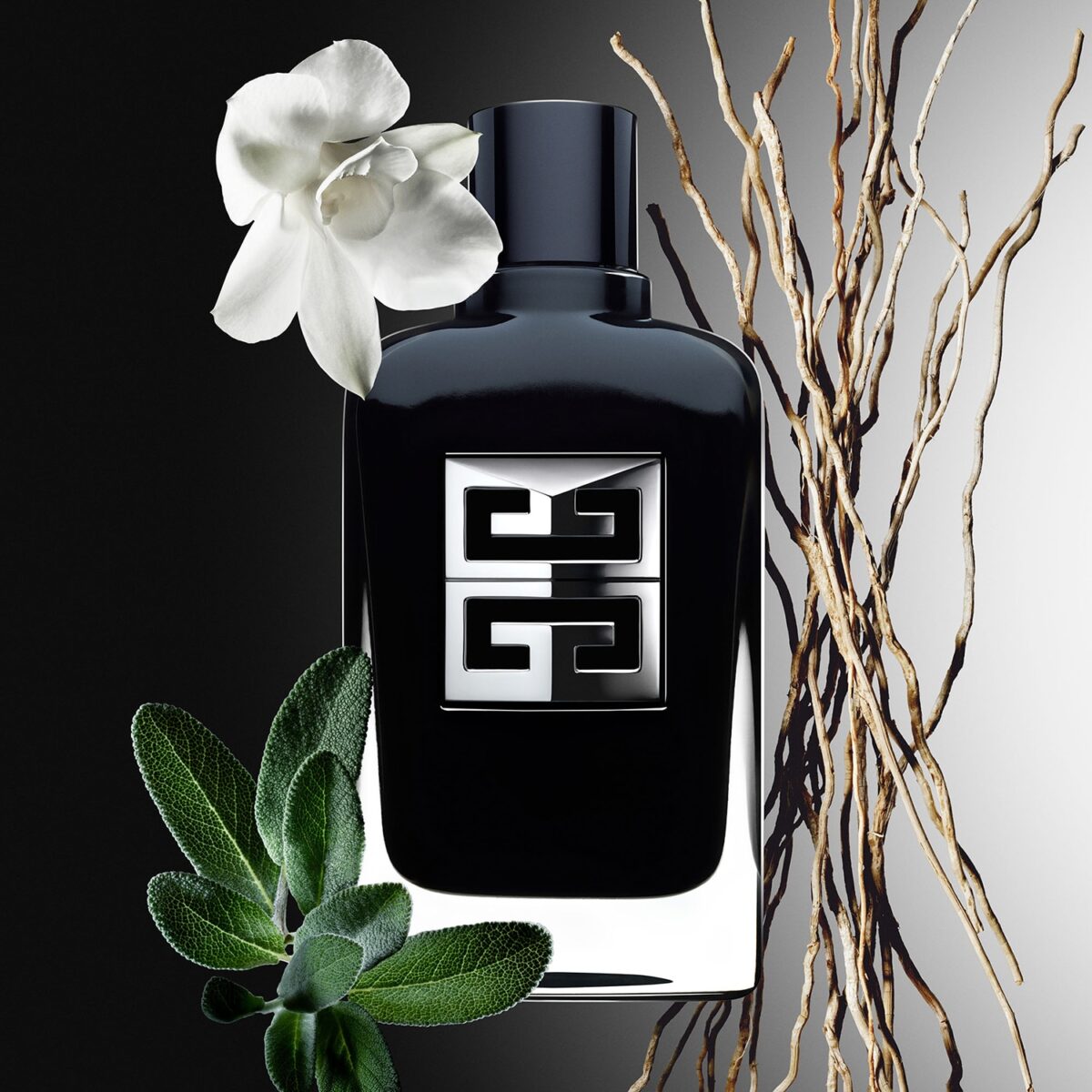 GENTLEMAN SOCIETY – Image 3