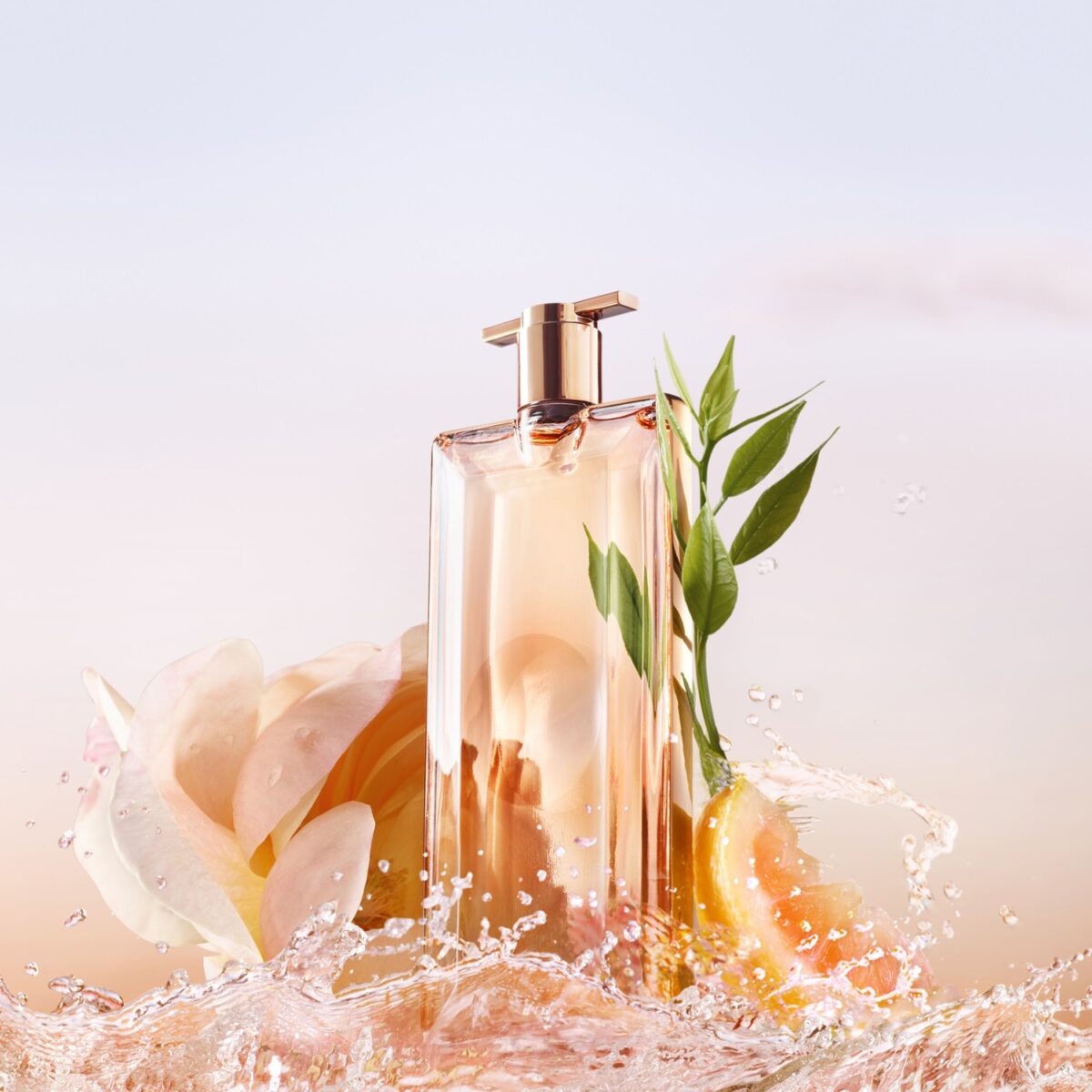 IDOLE – Image 2
