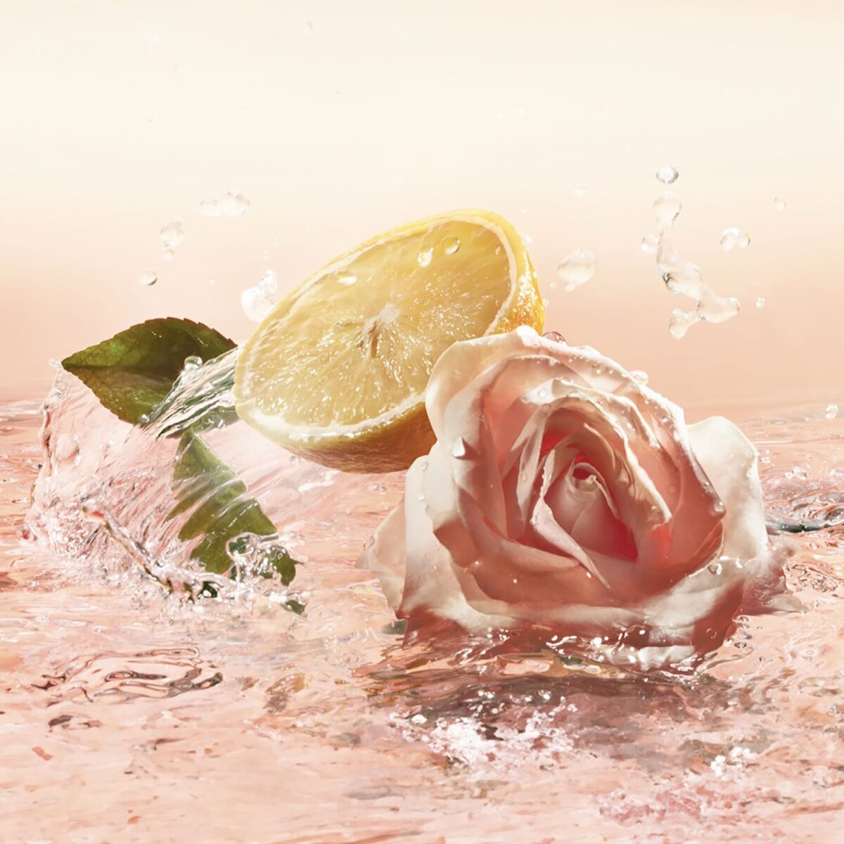 IDOLE – Image 3