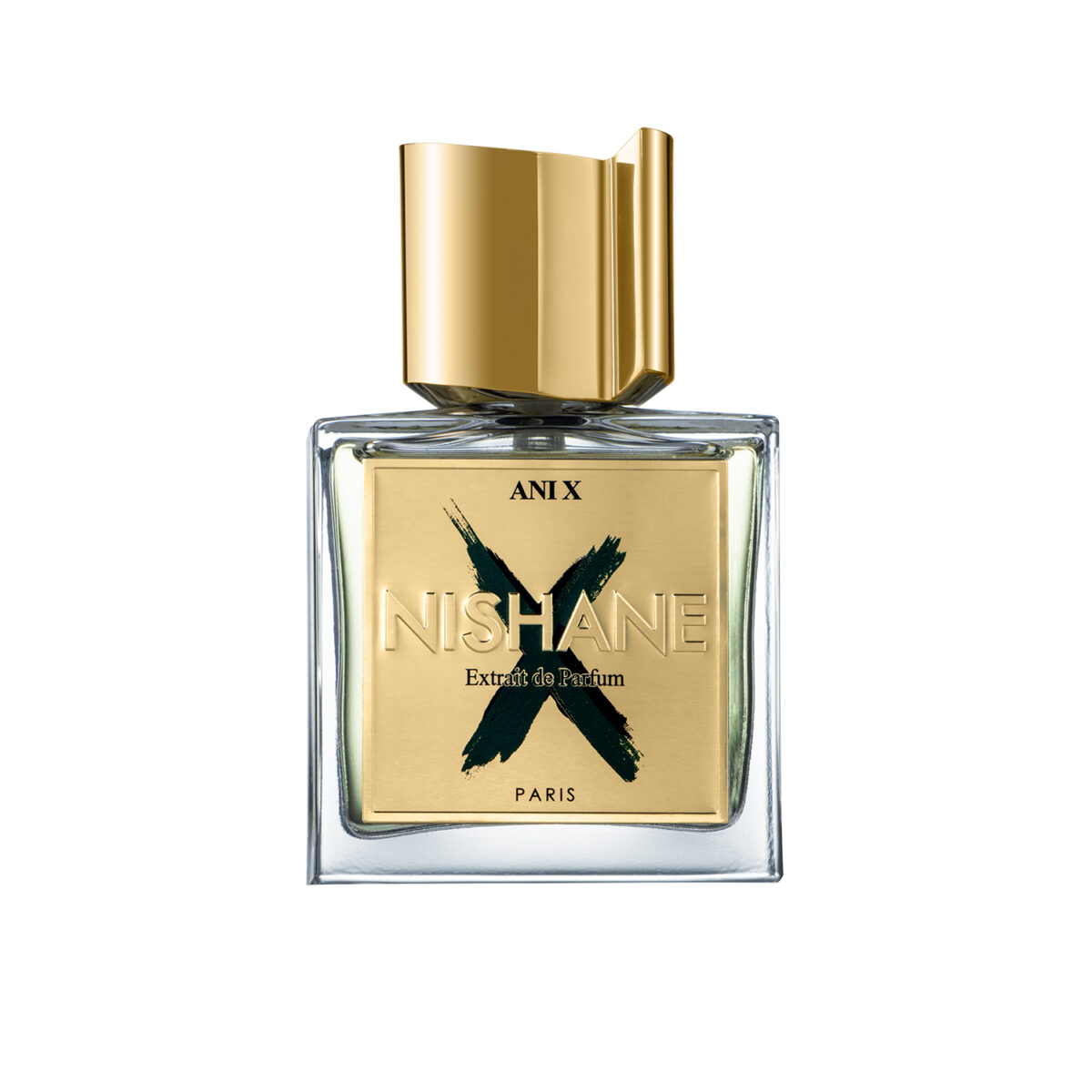 ANI X – Image 1