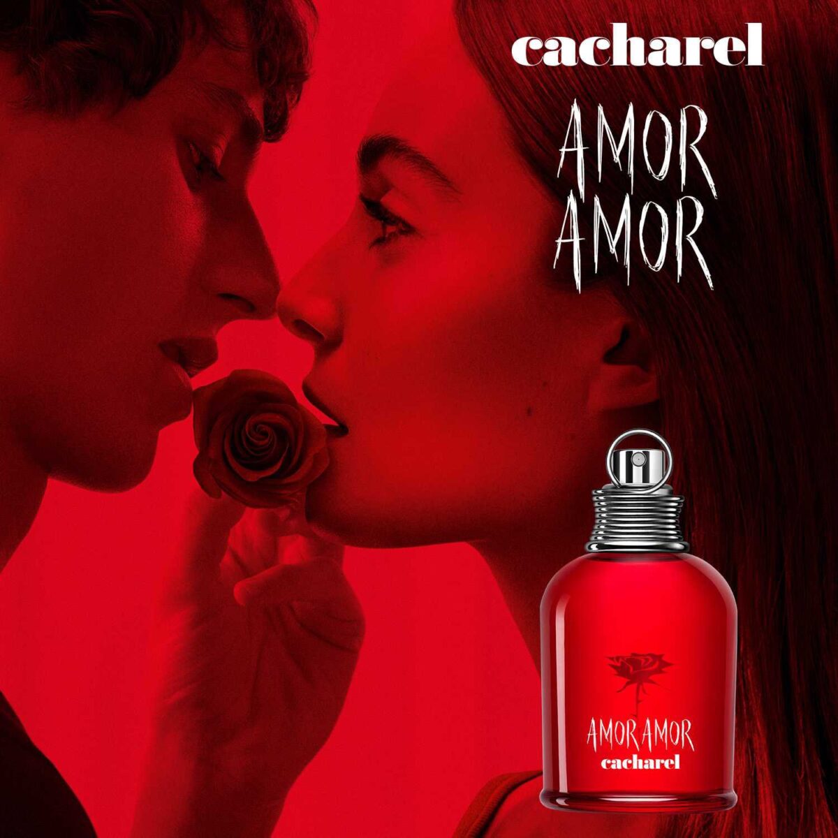 AMOR AMOR – Image 4