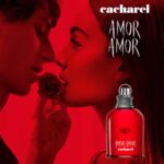 AMOR AMOR – Image 4