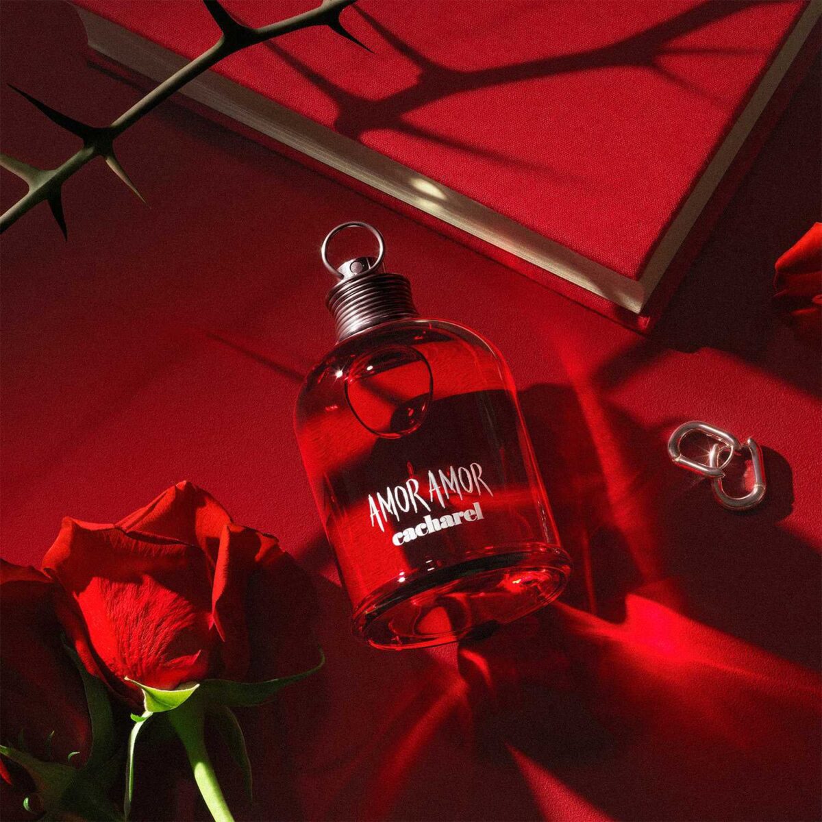 AMOR AMOR – Image 5