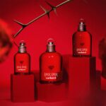 AMOR AMOR – Image 6