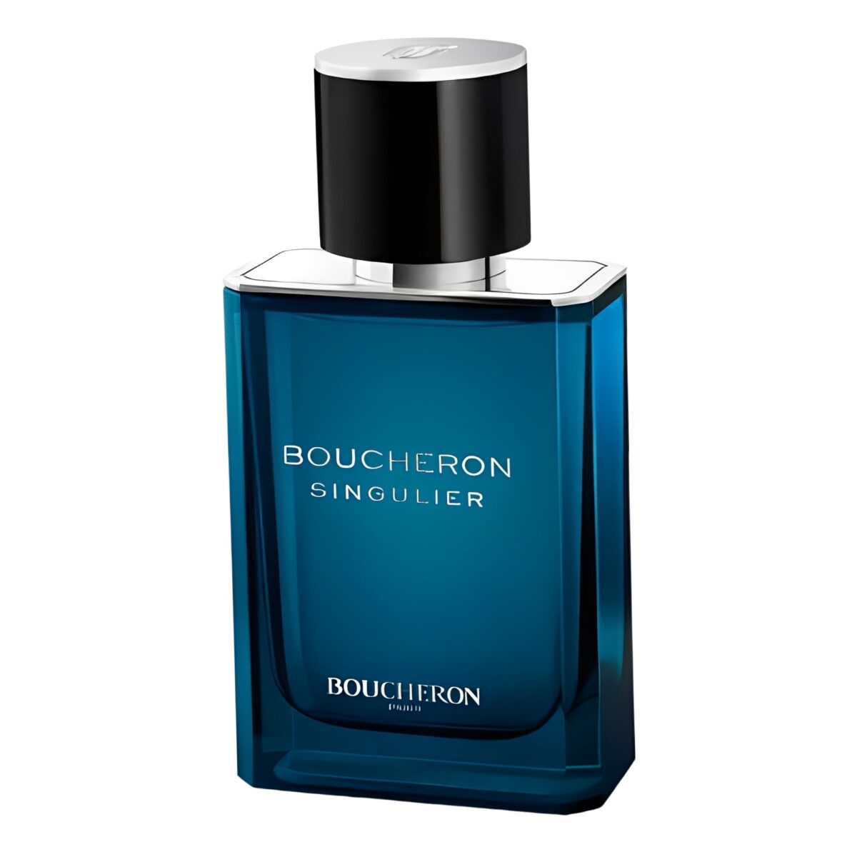 Singulier – Image 1